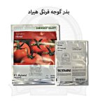 بذر گوجه فرنگی هیبرید هیراد در اصفهان در گروه خرید و فروش بذر گوجه در یکمیوه