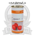 بذر گوجه فرنگی ناسادت در اصفهان