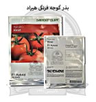 بذر گوجه فرنگی هیبرید هیراد در اصفهان