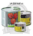 بذر گوجه فرنگی افرا