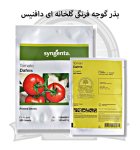 بذر گوجه فرنگی گلخانه ای دافنیس در اصفهان