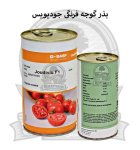 بذر گوجه فرنگی جودیویس در اصفهان