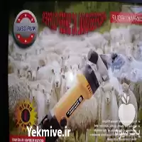 قیمت خرید پشم چین گوسفندی پشم در اصفهان در گروه تجهیزات دامداری در یکمیوه