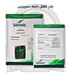 بذر فلفل دلمه 9325 سمینیس در اصفهان