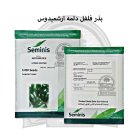 بذر فلفل دلمه ارشمیدوس سمینیس در اصفهان در گروه خرید و فروش بذر فلفل در یکمیوه