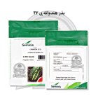 بذر هندوانه بی 32 سمینیس در اصفهان