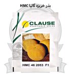 بذر خربزه گالیا HMC 462053 در اصفهان