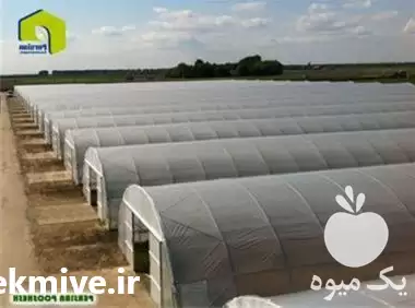 قیمت خرید نایلون گلخانه در ساری در گروه خرید و فروش توری گلخانه در یکمیوه -عکس1