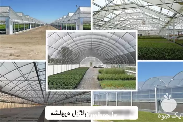 ساخت و نصب گلخانه ارزان قیمت در کرمان  در گروه سازنده در یکمیوه -عکس1