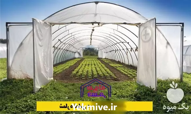 ساخت و نصب گلخانه ارزان در هرمز در گروه سازنده در یکمیوه -عکس1
