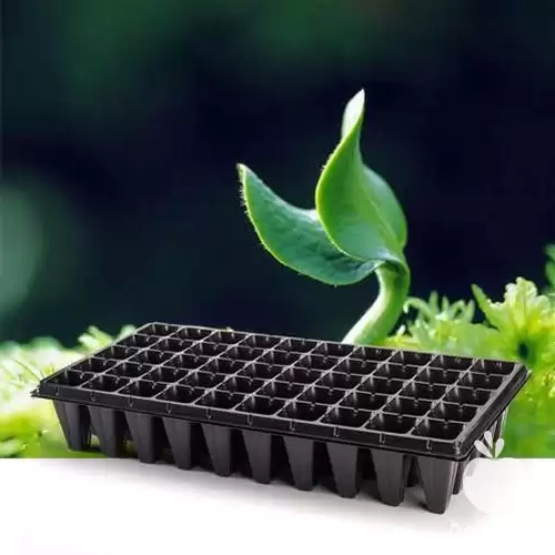 توزیع کننده سینی نشا فروش سینی در تهران در گروه خرید و فروش نشا در یکمیوه -عکس1