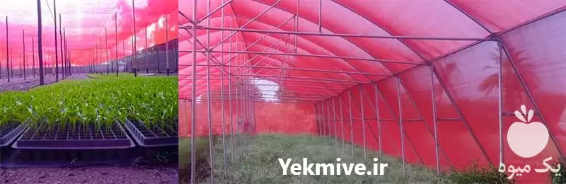 قیمت خرید توری سایبان قرمز در ساری در گروه خرید و فروش توری گلخانه در یکمیوه -عکس1