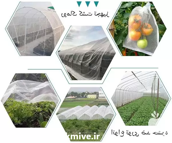 فروش توری ضد حشره در تهران در گروه خرید و فروش توری گلخانه در یکمیوه -عکس1