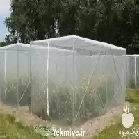 فروش توری ضد حشره ایتالیایی در تهران در گروه خرید و فروش توری گلخانه در یکمیوه