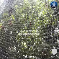 تولید و فروش توری ضد پرنده در ساری در گروه خرید و فروش توری گلخانه در یکمیوه