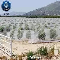 قیمت خرید تولید شید گلخانه در مشهد در گروه خرید و فروش توری گلخانه در یکمیوه