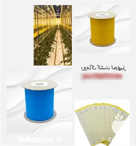 قیمت خرید کارت زرد جذب حشرات در گروه خرید و فروش انواع تجهیزات کشاورزی در یکمیوه -عکس1