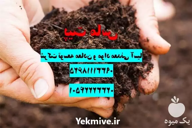 فروش ویژه کوکوپیت پیت ماس بستر در تهران در گروه خرید و فروش انواع کود کشاورزی در یکمیوه -عکس1