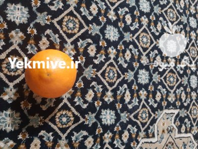 پرتقال تامسون و خونی در گروه خرید و فروش پرتقال در یکمیوه -عکس1