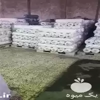 قیمت خرید قیمت نایلون گلخانه در گروه خرید و فروش انواع پوشش ها در یکمیوه