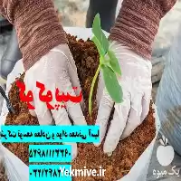 قیمت خریدیژه کوکوپیت سریلانکایی در گروه خرید و فروش انواع کود کشاورزی در یکمیوه