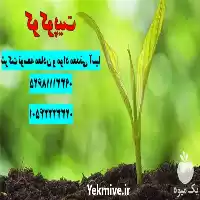 وارد کننده کوکوپیت فروش کوکوپیت در تهران در گروه خرید و فروش انواع کود کشاورزی در یکمیوه
