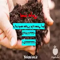 فروش ویژه کوکوپیت پیت ماس بستر در تهران در گروه خرید و فروش انواع کود کشاورزی در یکمیوه