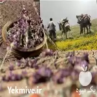 قیمت خرید اروانه در خلخال در گروه خرید و فروش گیاهان دارویی در یکمیوه