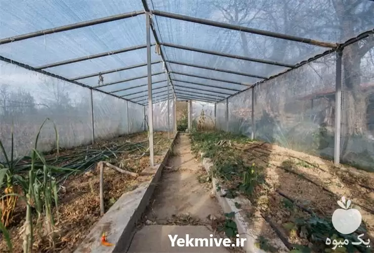 فروش شرکت نایلون کشاورزی در مشهد در گروه خرید و فروش بسته بندی نایلونی در یکمیوه -عکس1