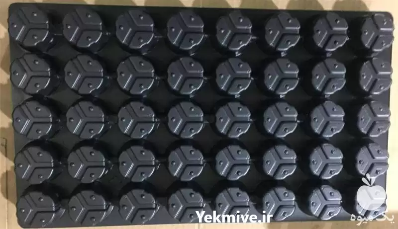 قیمت خرید سینی کشت ایرانی 40 در گروه خرید و فروش نشا در یکمیوه -عکس1