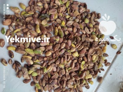 مغز پسته امسال گندمی ریز و مغز در رفسنجان در گروه خرید و فروش پسته در یکمیوه -عکس2