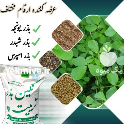 فروش بذر یونجه درجه یک در خرم‌ آباد در گروه خرید و فروش بذر یونجه در یکمیوه -عکس1