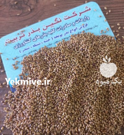 فروش بذر یونجه درجه یک در خرم‌ آباد در گروه خرید و فروش بذر یونجه در یکمیوه -عکس2