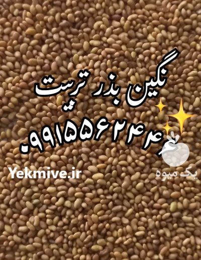 فروش بذر یونجه درجه یک در خرم‌ آباد در گروه خرید و فروش بذر یونجه در یکمیوه -عکس3