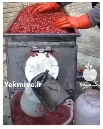 دستگاه آب گیری انار در پلدختر در گروه انواع آبمیوه ها و آبگیری ها در یکمیوه -عکس1