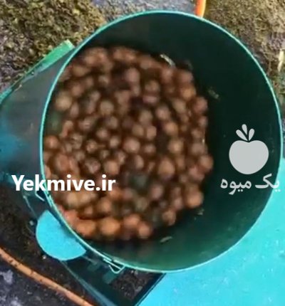 پوست کن سطلی بادام و گردو در گروه خرید و فروش دستگاه کشاورزی در یکمیوه -عکس1