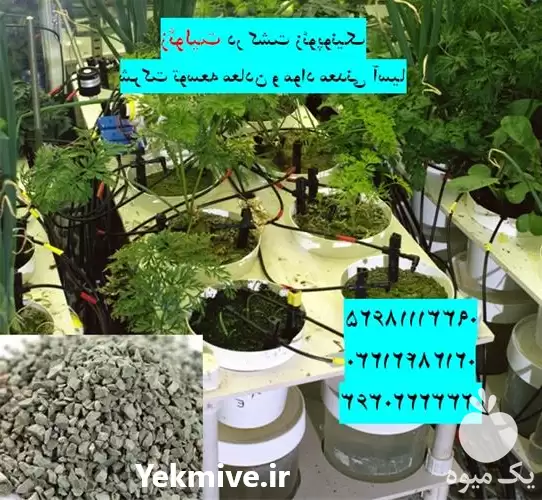 فروش زئولیت در کشت زئوپونیک در گروه انواع محصولات خاک و تغذیه در یکمیوه -عکس1