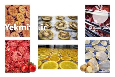 دستگاه خشک کن میوه سبزی خانگی در کرمان  در گروه خشک کن در یکمیوه -عکس2