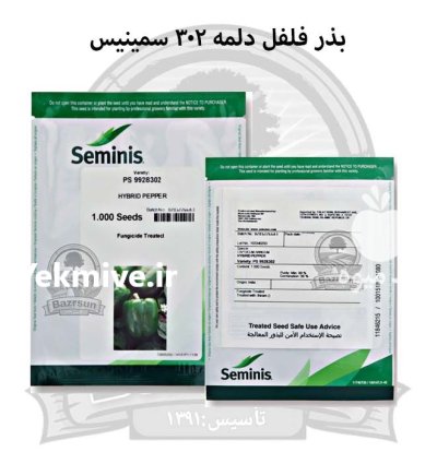 بذر فلفل دلمه 302 سمینیس در گروه خرید و فروش بذر فلفل در یکمیوه -عکس1