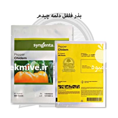 بذر فلفل دلمه رنگی چیدم سینجنتا در گروه خرید و فروش فلفل در یکمیوه -عکس1