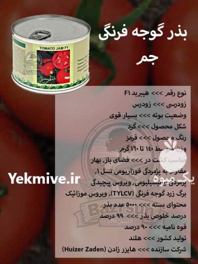 بذر گوجه فرنگی جم در گروه خرید و فروش بذر گوجه در یکمیوه -عکس1