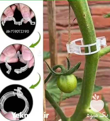 فروش گیره نگهدارنده بوته گلخانه در تهران در گروه خرید و فروش تجهیزات گلخانه در یکمیوه -عکس1