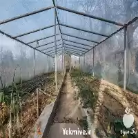 فروش شرکت نایلون کشاورزی در مشهد در گروه خرید و فروش بسته بندی نایلونی در یکمیوه