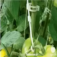 فروش بست بوته سایز 27 در گروه خرید و فروش تجهیزات گلخانه در یکمیوه