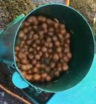 پوست کن سطلی بادام و گردو در گروه خرید و فروش دستگاه کشاورزی در یکمیوه