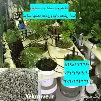 فروش زئولیت در کشت زئوپونیک در گروه انواع محصولات خاک و تغذیه در یکمیوه