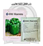 بذر فلفل دلمه 1620 هانرس در ارومیه