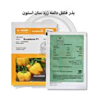 بذر فلفل دلمه زرد سان استون در ارومیه در گروه خرید و فروش بذر فلفل در یکمیوه