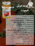 بذر گوجه فرنگی فرمونت در ارومیه