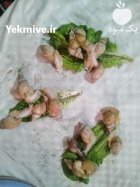 حلزون از 4 سانت تا 8 سانت جهت فروش در چناران